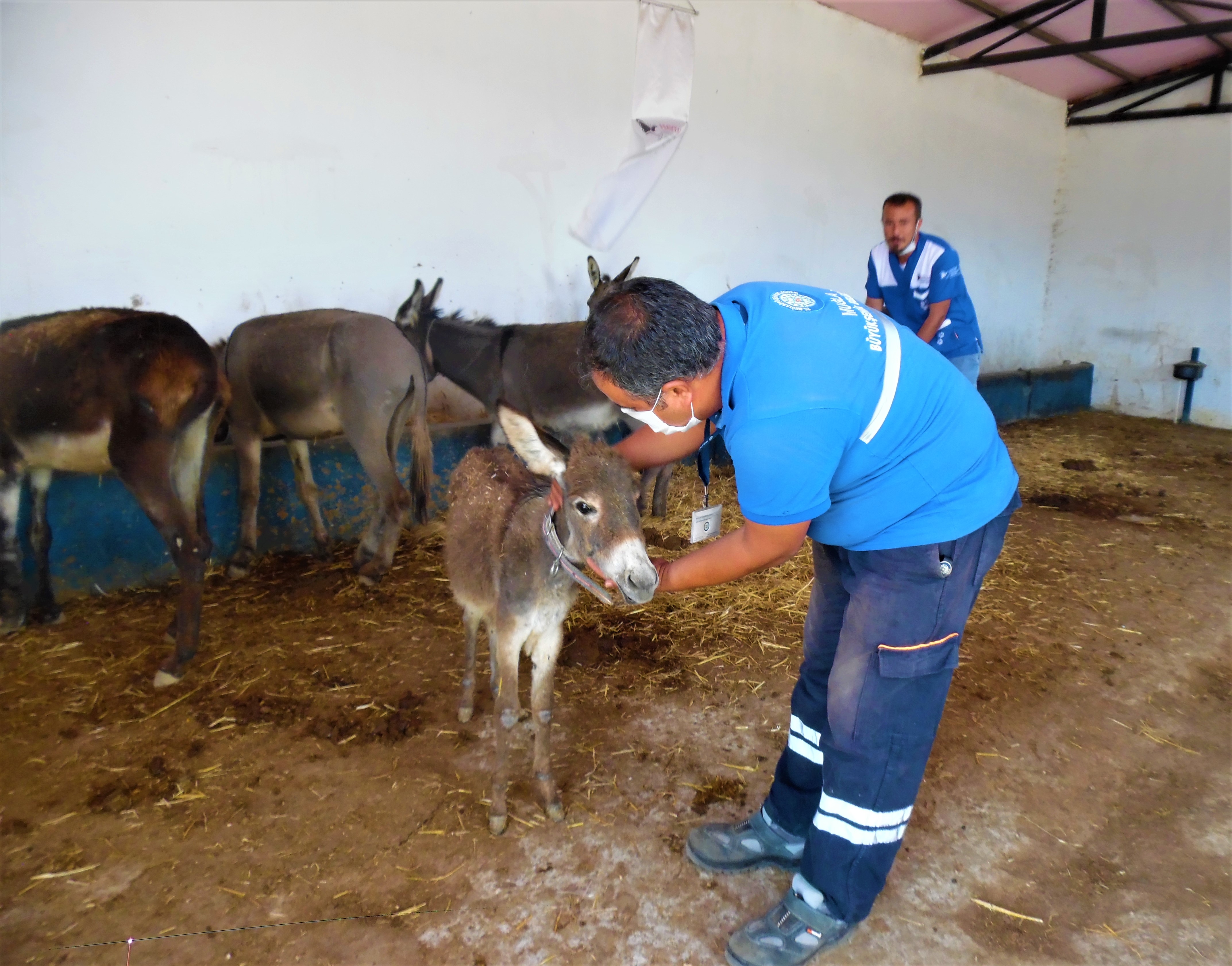 T C Mugla Buyuksehir Belediyesi